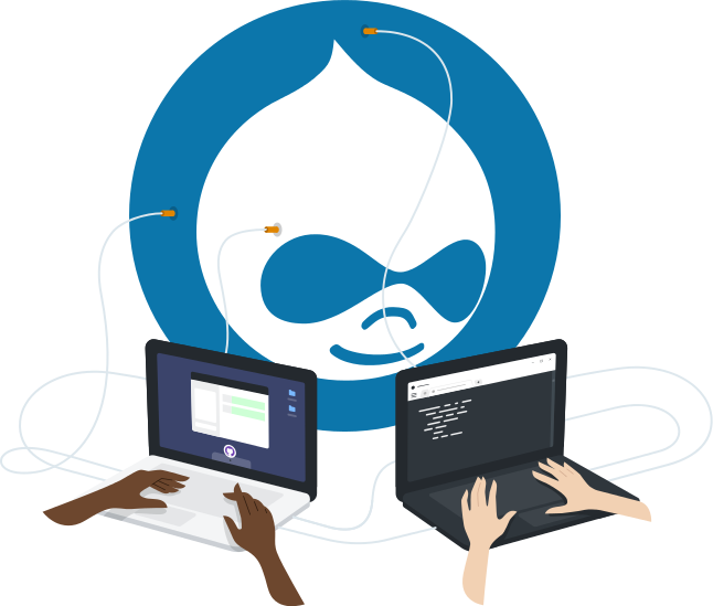 Hire Drupal Developer